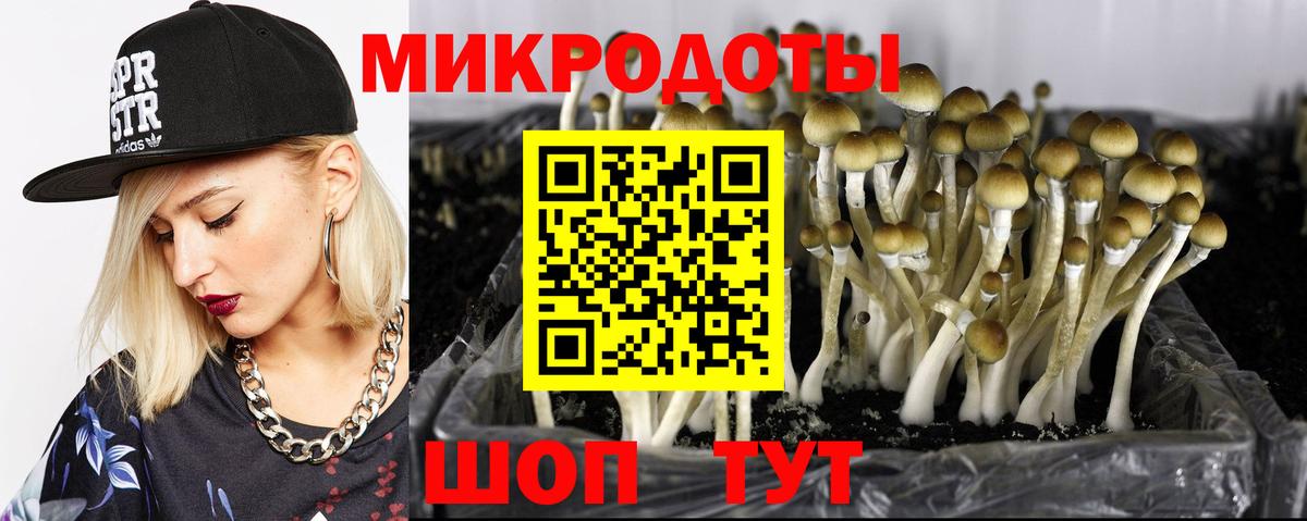 Псилоцибиновые грибы ЛСД Кизилюрт
